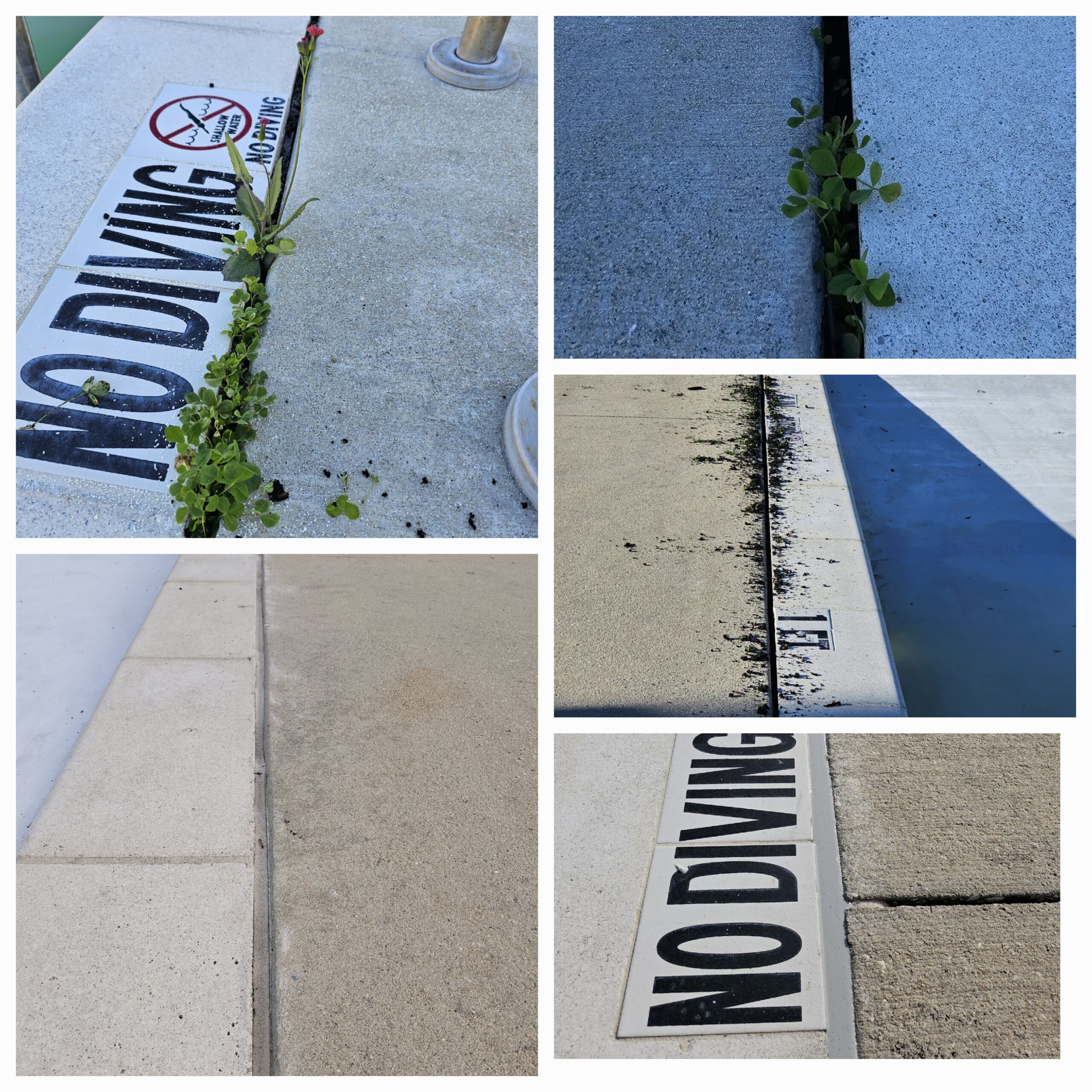 Pool deck showing deteriorated mastic expansion joint with weeds, visible "NO DIVING" signs, and varying surface conditions, highlighting the need for restoration in commercial pool renovations for military facilities.